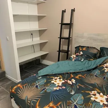 Apartmán T2 En Rdc Dans Petit Immeuble Avec Cour Enclavee. *